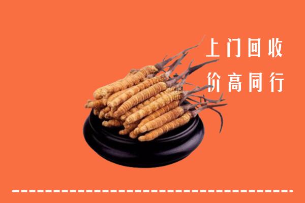 高价求购：福州市平潭回收散虫草