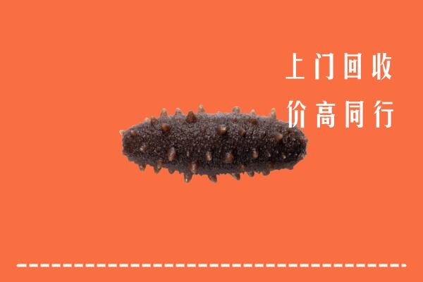 高价求购：福州市平潭回收海参