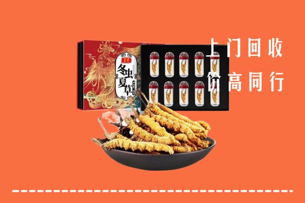 福州市平潭回收虫草